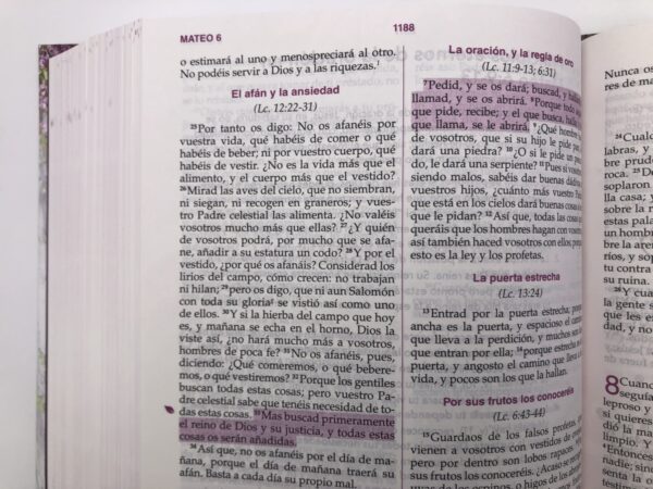 Biblia de la mujer conforme al corazón de Dios Tapa dura - Image 8