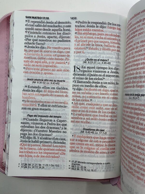 Biblia Letra Grande 11 RVR 1960 Mariposas Rosa Índice Forro - Image 5