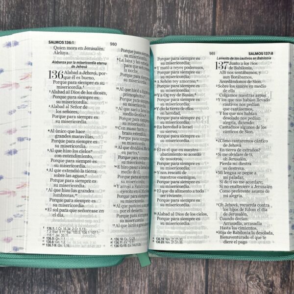 Biblia Reina Valera Letra Grande 11 Piel turquesa Cierre Colección Primaveral - Image 6