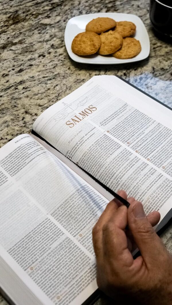 Biblia de Estudio Patrística Reina Valera Revisada Tapa Dura - Image 3