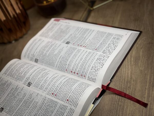 Biblia de Estudio Matthew Henry Reina Valera Tapa Dura - Image 4