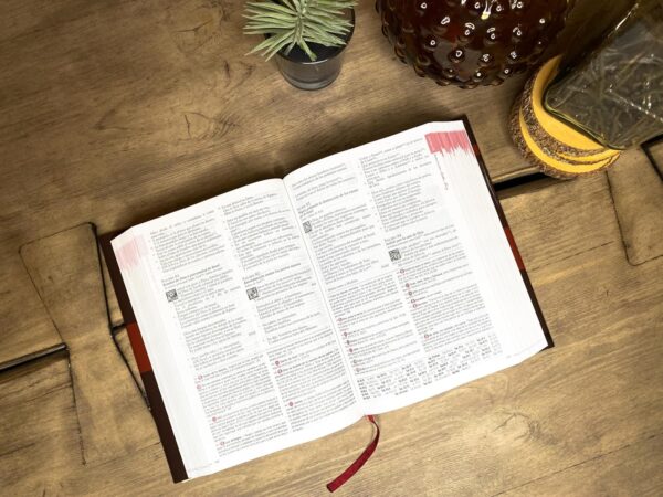 Biblia de Estudio Matthew Henry Reina Valera Tapa Dura - Image 3