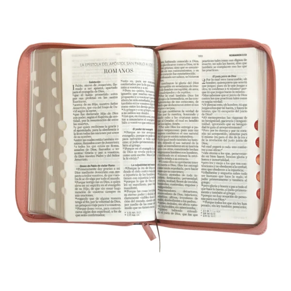 Biblia Reina Valera letra grande 11 Piel rosa/café con cierre y con índice. Colección Excelencia. - Image 6