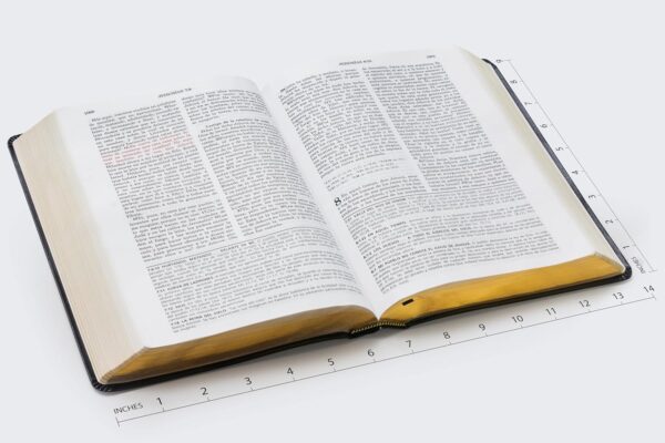 Biblia de Estudio Vida Plena Piel Negro Canto Dorado - Image 7