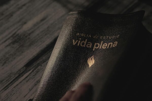 Biblia de Estudio Vida Plena Piel Negro Canto Dorado - Image 8