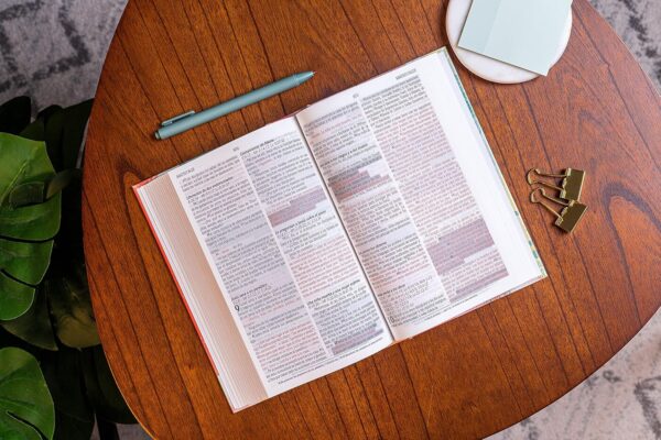 Biblia de Promesas NVI  Tapa dura Rosada - Image 4