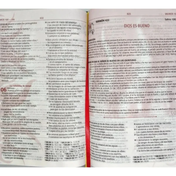 Biblia de la Predicación Avivamiento Reina Valera 1960 Letra Grande Piel Negra Indice - Image 6