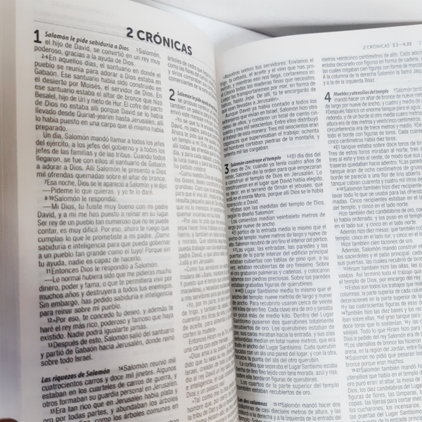 Biblia Económica TLA Traducción Al Lenguaje Actual Azul - Image 5