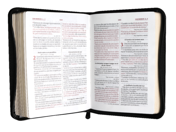 Biblia RVR 1960 Letra mediana 10 Piel Negro Canto Dorado Cierre - Image 6
