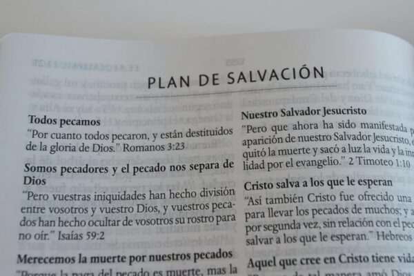 Biblia Reina Valera LETRA GRANDE Leon de Judá  Imitación Piel - Image 7