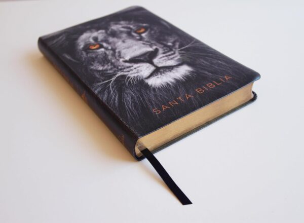 Biblia Reina Valera LETRA GRANDE Leon de Judá  Imitación Piel - Image 4
