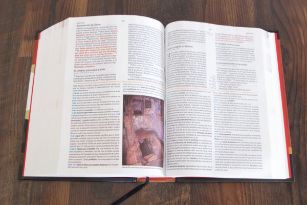 Biblia De Estudio Holman Reina Valera 1960 Tapa Dura - Image 5