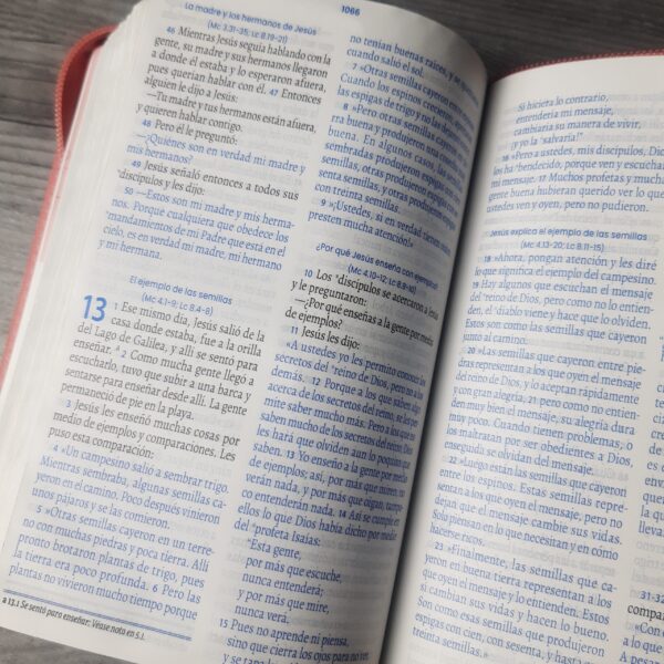 Biblia TLA Valiosa Rosa Verde – Letra Grande con Cierre - Image 5