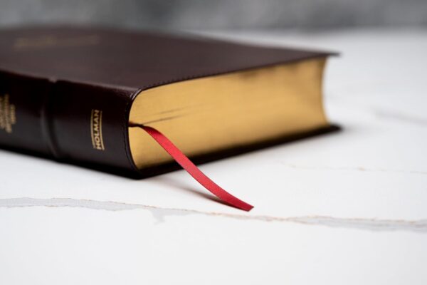 Biblia del Ministro RVR 1960 Letra Grande 12 pts Piel Caoba - Image 4