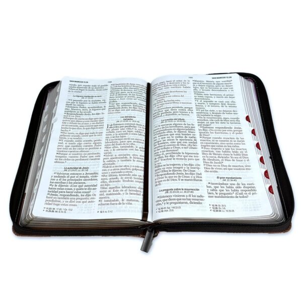 Biblia Letra Grande 12 RVR1960  índice y cierre -Yo y mi casa serviremos al Señor - Image 3