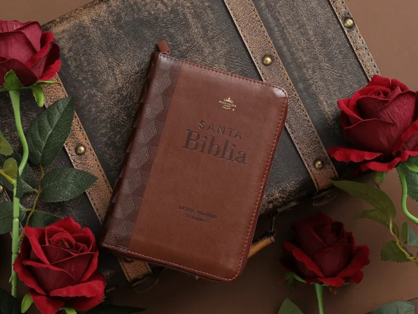 Biblia RVR1960 con Cierre Letra Grande (12 pts) |Café Geométrico - Image 3