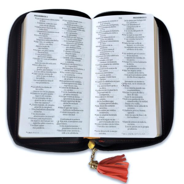 Biblia Chequera RVR1960 Cierre - Image 4