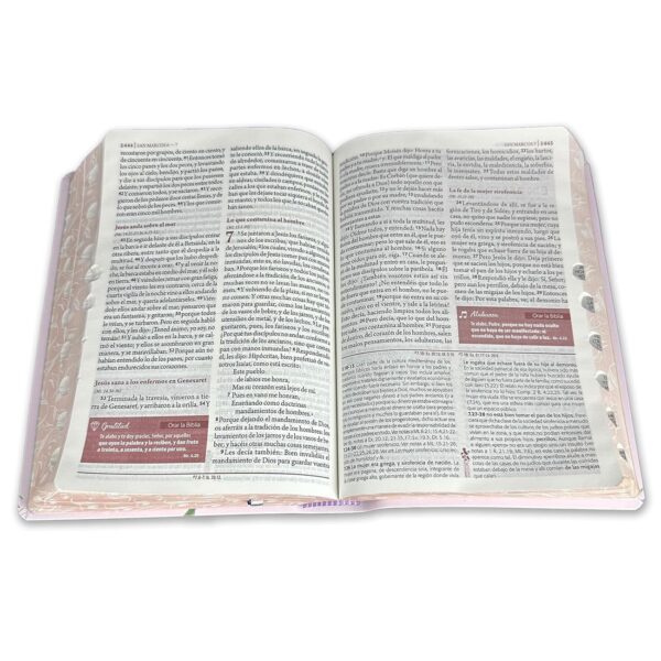 Biblia de Estudio Ser Mujer Reina Valera Letra Grande Índice - Image 4