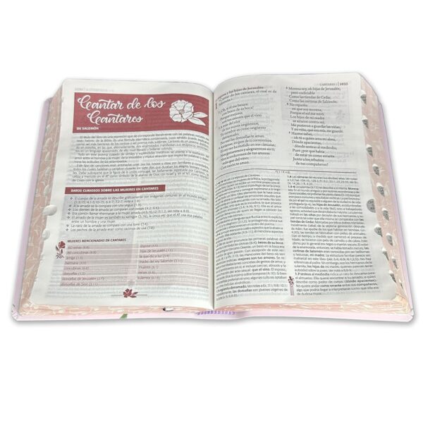 Biblia de Estudio Ser Mujer Reina Valera Letra Grande Índice - Image 5
