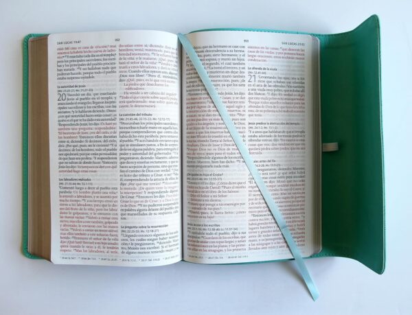 Biblia Reina Valera 1960 Letra Grande - Aguamarina con Solapa - Image 3
