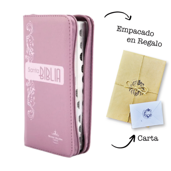 Biblia RVR60 tipo chequera rosada índice cierre