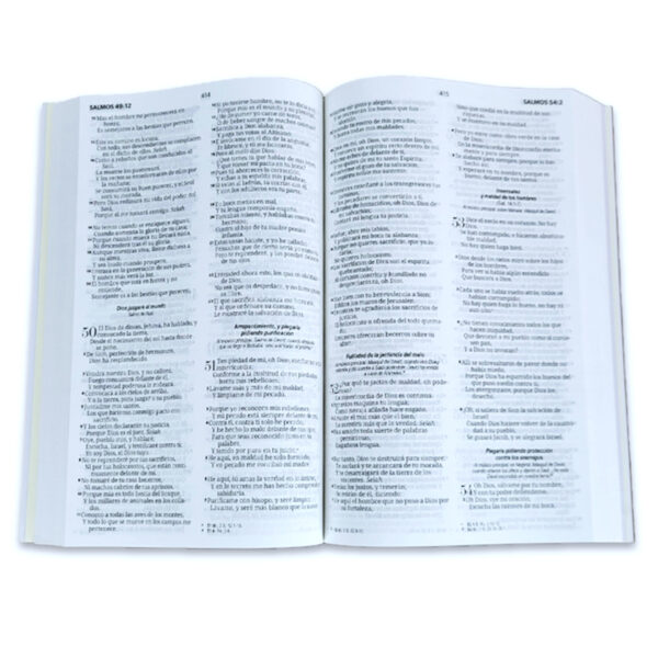 Biblia Económica Reina-Valera 1960 tapa blanda rosa floral - Image 2