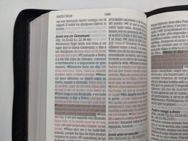 Biblia de Promesas RVR1960 Letra Grande 12 pts Piel Cierre - Image 7