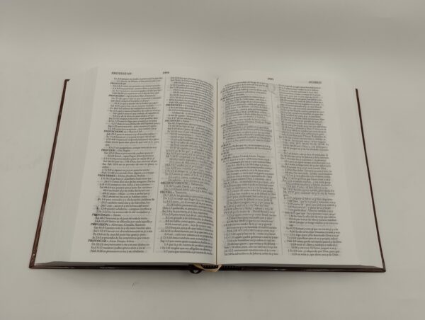 Biblia de Estudio Palabra Clave RVR 1960 – Tapa Dura - Image 4