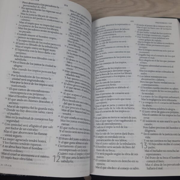 Biblia RVR60 Letra Grande 10 pts Mujer Cierre - Image 11