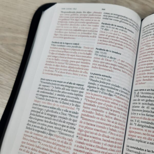 Biblia RVR60 Letra Grande 10 pts Mujer Cierre - Image 8
