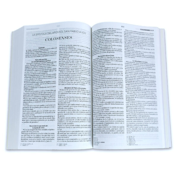Biblia Económica Reina-Valera 1960 tapa blanda rosa floral - Image 4