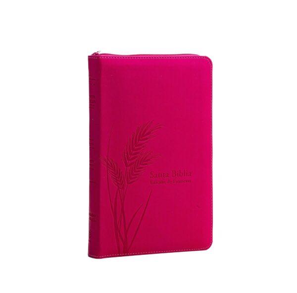 Biblia de Promesas RVR60 Letra Grande 12 pts Piel Cierre - Image 2