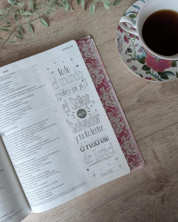 Biblia Inspira NTV Letra Grande 10 SentiPiel Rosa Filament App - Image 5
