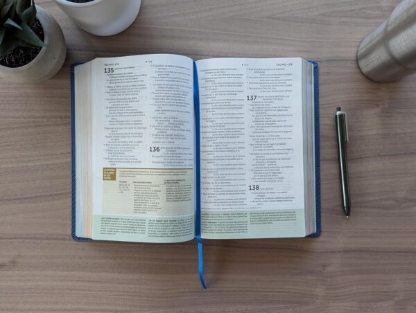  Biblia de Estudio Diario Vivir para Jóvenes – NTV Piel Azul - App Filament - Image 5