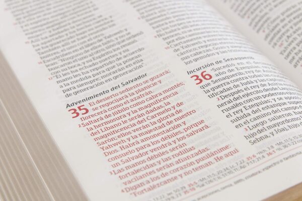 Biblia Peshitta -traducción de los antiguos manuscritos arameos- imit. piel, caoba - Image 4
