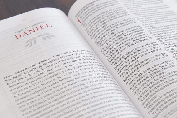 Biblia Peshitta -traducción de los antiguos manuscritos arameos- imit. piel, caoba - Image 3