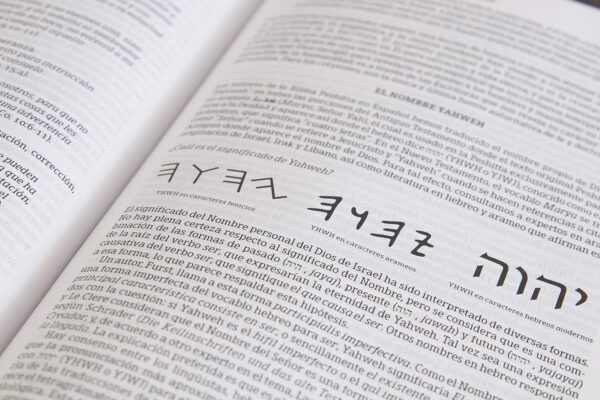 Biblia Peshitta -traducción de los antiguos manuscritos arameos- imit. piel, caoba - Image 2