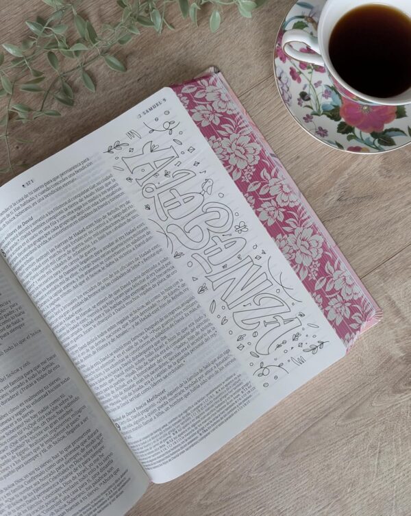 Biblia Inspira NTV Letra Grande 10 SentiPiel Rosa Filament App - Image 4