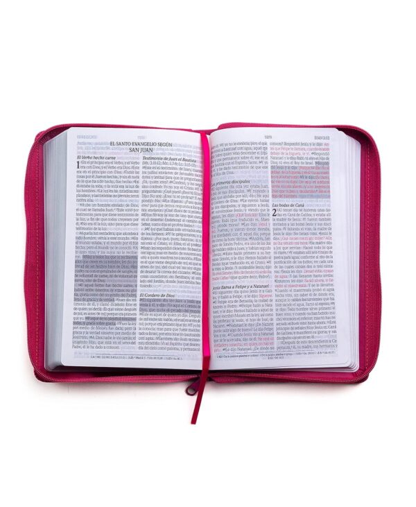 Biblia de Promesas RVR60 Letra Grande 12 pts Piel Cierre - Image 4