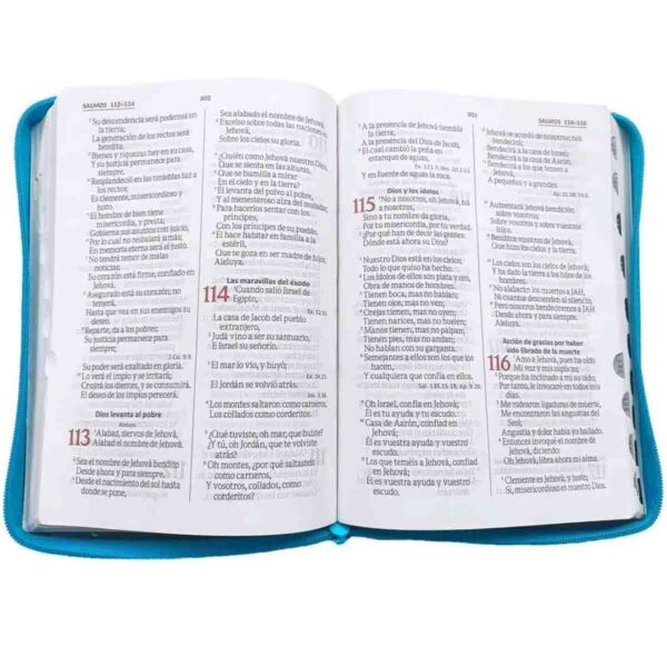 Biblia Letra Gigante 14 Aguamarina Reina Valera 1960 índice cierre - Image 3