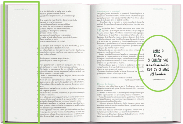 Biblia Arte – Biblia Devocional para ExpresArte RVC Tapa dura - Image 5