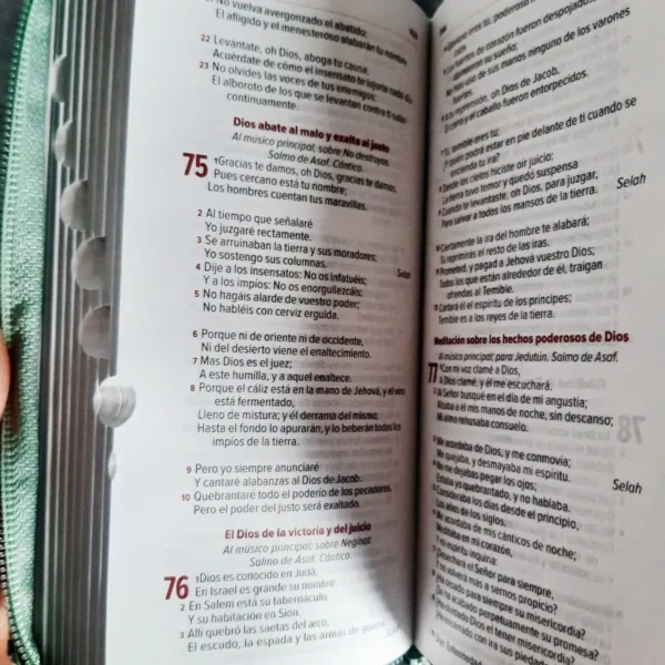 Biblia tipo chequera RVR60 verde índice cierre - Image 6