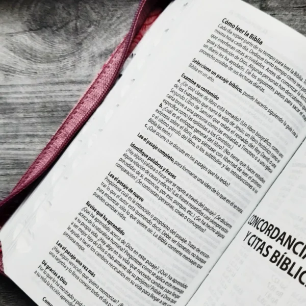 Biblia RVR60 tipo chequera rosada índice cierre - Image 3