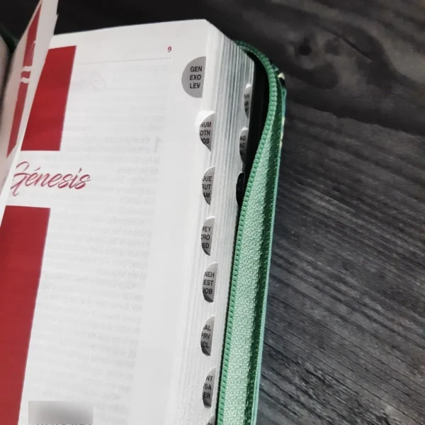 Biblia tipo chequera RVR60 verde índice cierre - Image 4