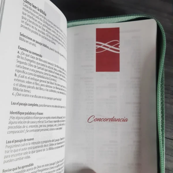 Biblia tipo chequera RVR60 verde índice cierre - Image 7