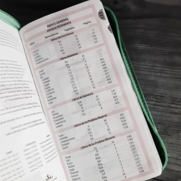 Biblia tipo chequera RVR60 verde índice cierre - Image 3