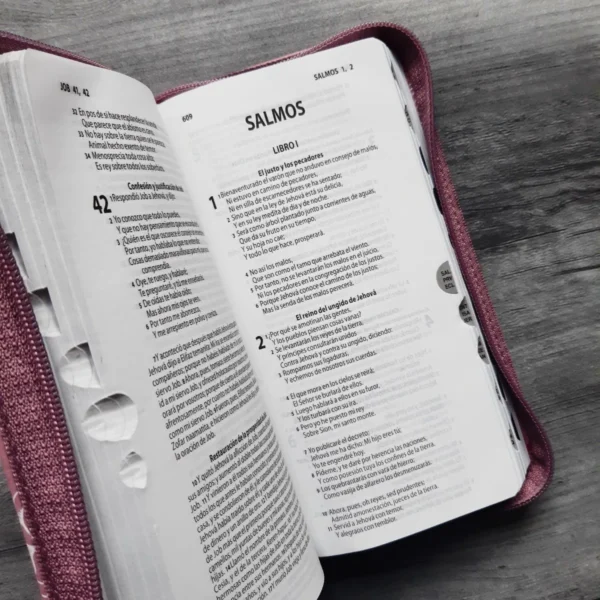 Biblia RVR60 tipo chequera rosada índice cierre - Image 4
