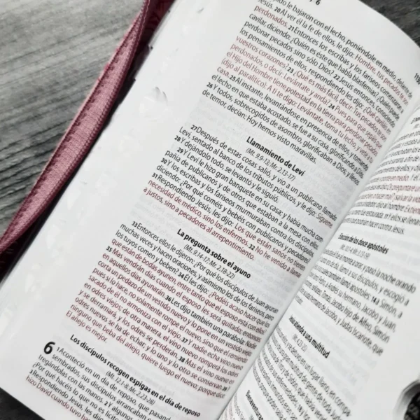 Biblia RVR60 tipo chequera rosada índice cierre - Image 5