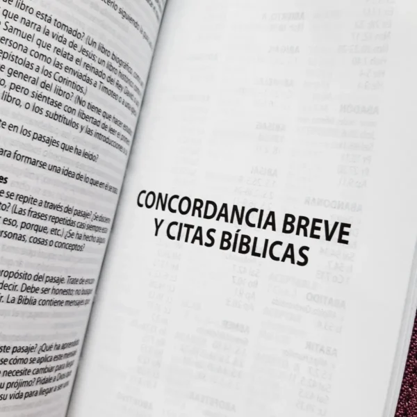 Biblia RVR60 tipo chequera rosada índice cierre - Image 6