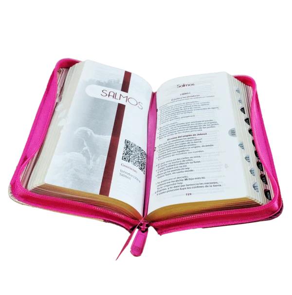 Biblia RVR60 tipo chequera Magenta Beige índice cierre - Image 4